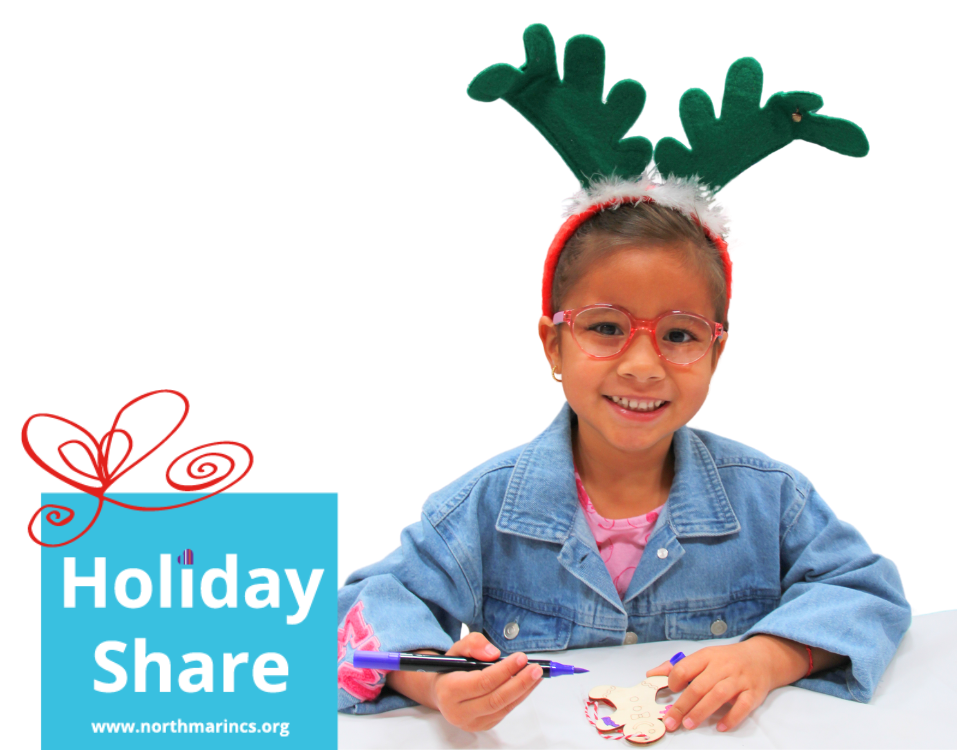 Holiday Share Website Home 2025